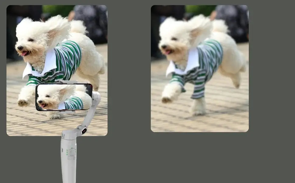 Gimbal estabilizador para móvil mostrando un perro corriendo con cámara estabilizada en acción.